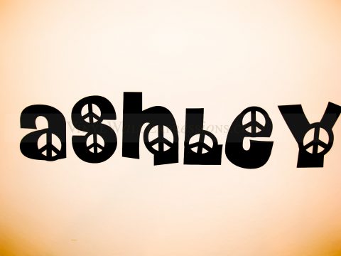 girls vinyl wall art-peace