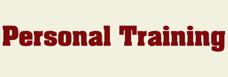 Custom Vinyl Lettering Business