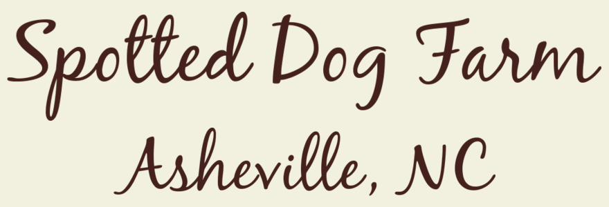 Custom Vinyl Lettering Business Name