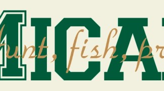 custom_1afc7ac291e436e229ed3ab994e938c0