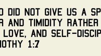 custom_2cba53cfc36e922f632e231846709408