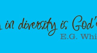 custom_3985d2bbfb7748cfe047c21c3bc4a879