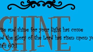 custom_3d0892af694591371539cd7d3c2708e7