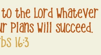 custom_cb59fbc2ce33bfc6014fb19a6cf4df5e