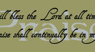 custom_fb2152b84c84b90ad16b488ada200588