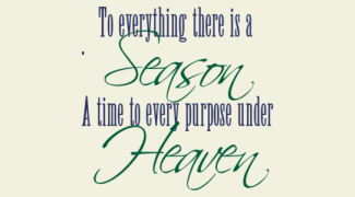 vinylwallexpressions_final_3Cx791