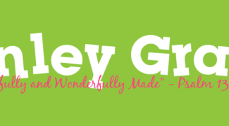 vinylwallexpressions_final_7293JZ