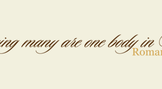 vinylwallexpressions_final_R4i4Ln