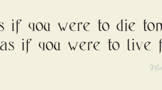 vinylwallexpressions_final_VpuwNm