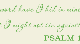 vinylwallexpressions_final_jX4zM8